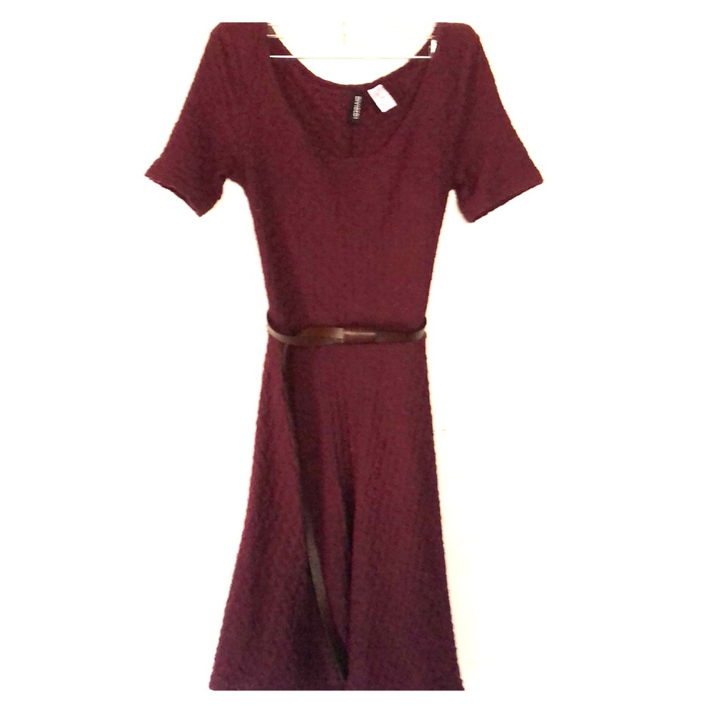 Burgundy Textured Skater Dress